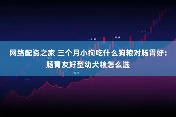 网络配资之家 三个月小狗吃什么狗粮对肠胃好：肠胃友好型幼犬粮怎么选