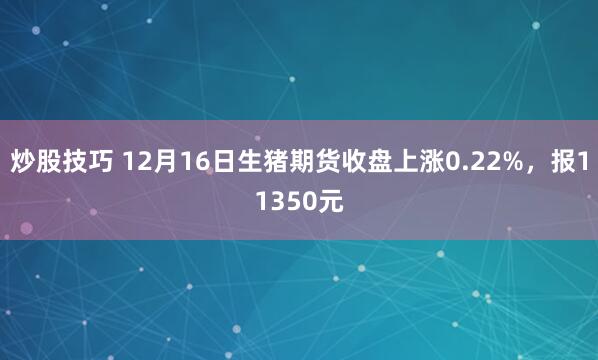 炒股技巧 12月16日生猪期货收盘上涨0.22%，报11350元
