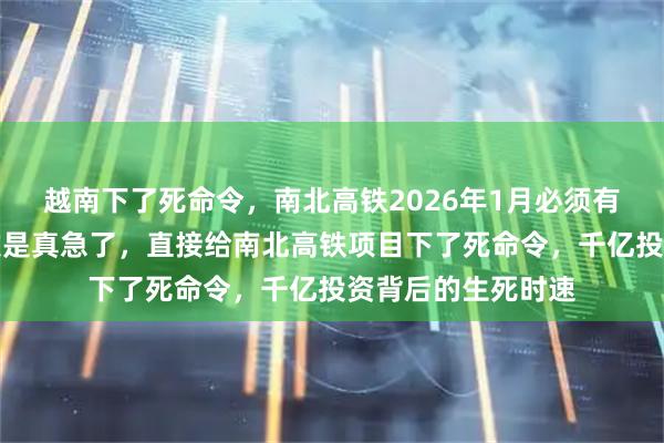 越南下了死命令，南北高铁2026年1月必须有个说法，越南这次是真急了，直接给南北高铁项目下了死命令，千亿投资背后的生死时速